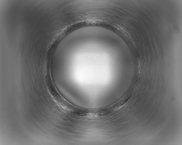 X0000052960496200508050952