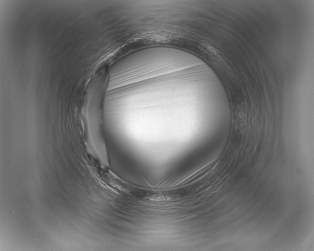 X0000052960500200508050952