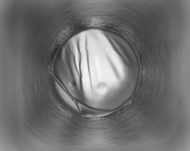 X0000052960503200508050952