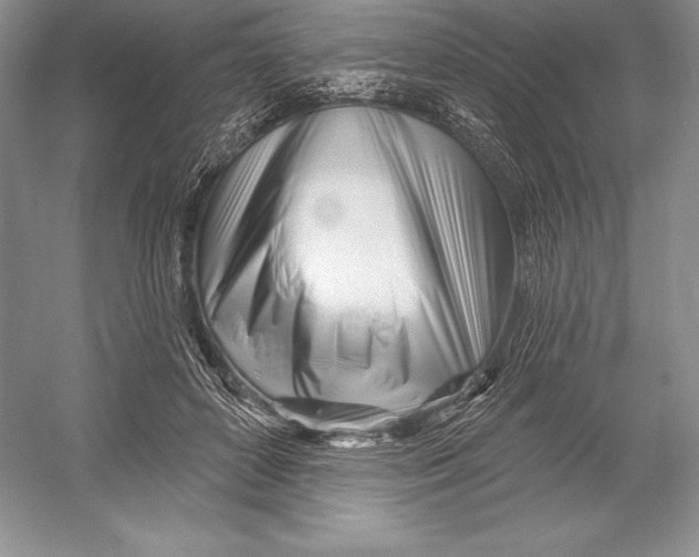 X0000052960504200508050952