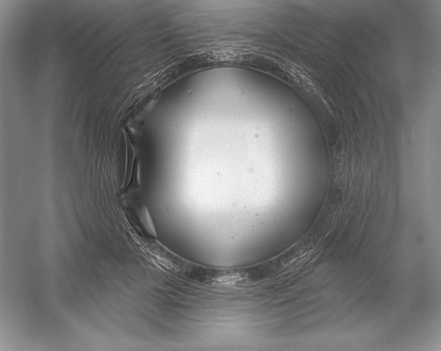 X0000052960505200508050952