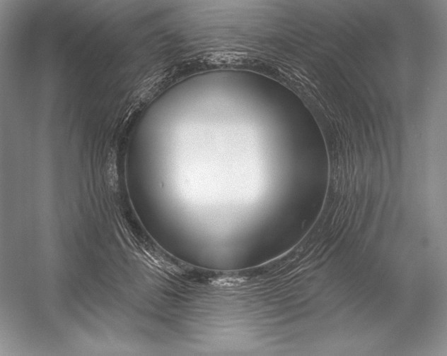X0000052960508200508050952
