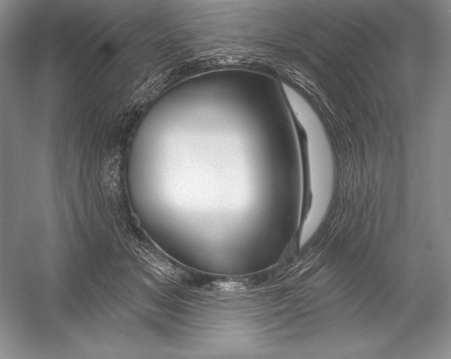 X0000052960509200508050952
