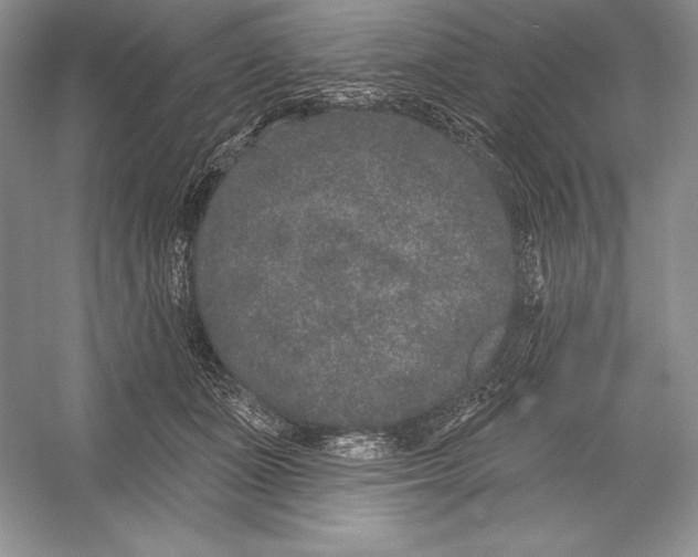 X0000052960511200508050952