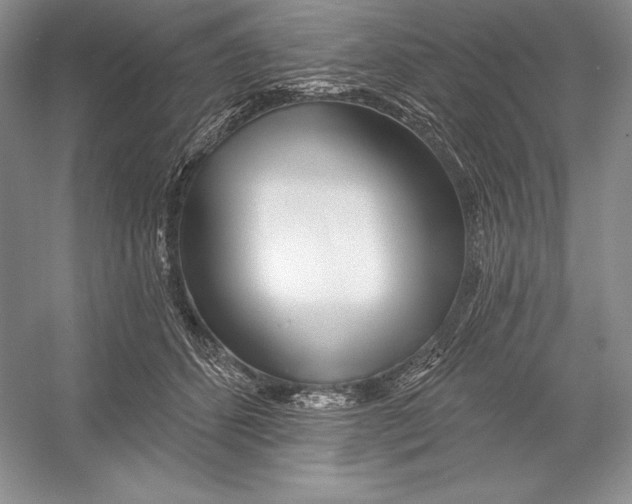 X0000052960512200508050952