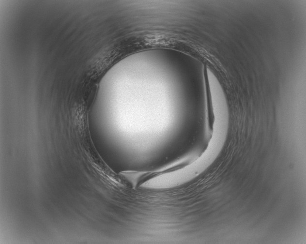 X0000052960513200508050952