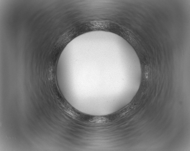 X0000052960514200508050952