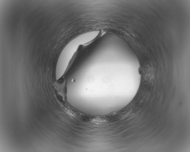 X0000052960515200508050952