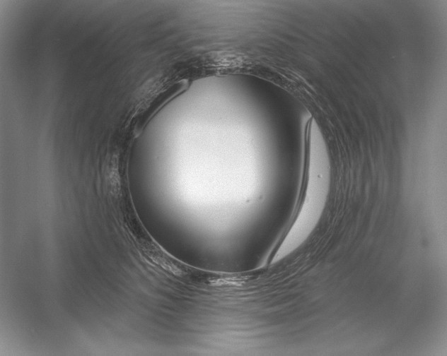 X0000052960516200508050952