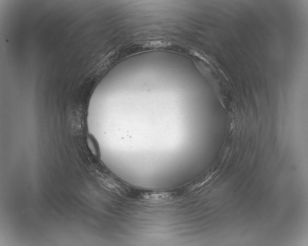 X0000052960517200508050952