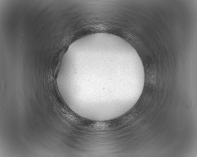 X0000052960518200508050952