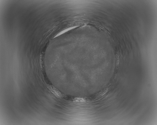 X0000052960519200508050952