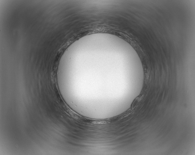 X0000052960520200508050952