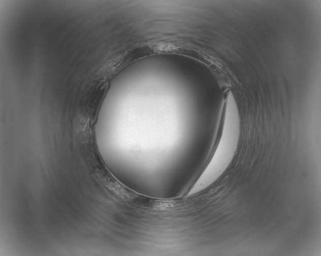 X0000052960521200508050951
