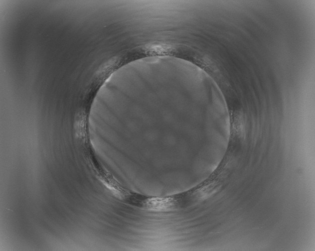 X0000052960526200508050951