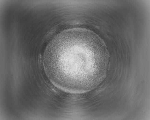 X0000052960528200508050951