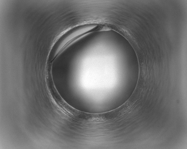 X0000052960536200508050951