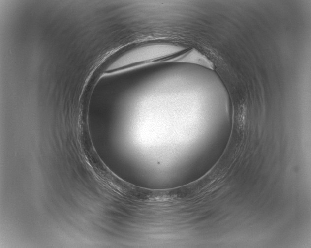 X0000052960540200508050951