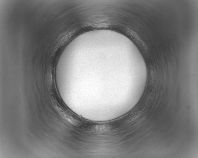 X0000052960541200508050951
