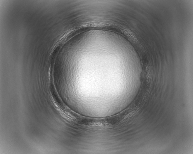 X0000052960542200508050951