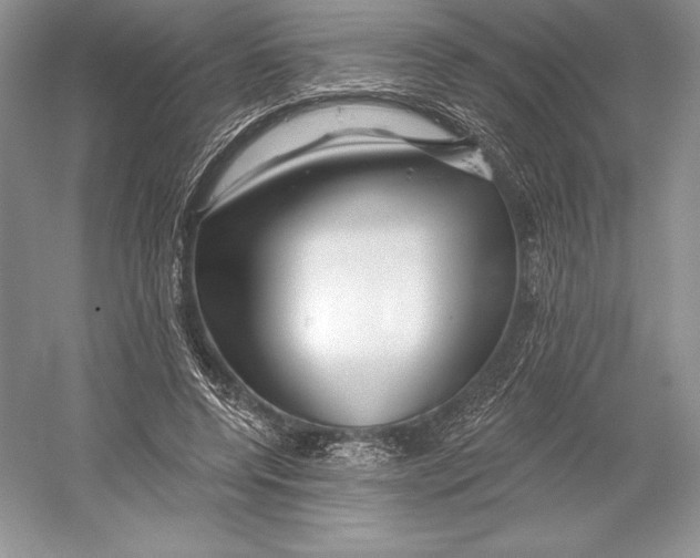 X0000052960544200508050951