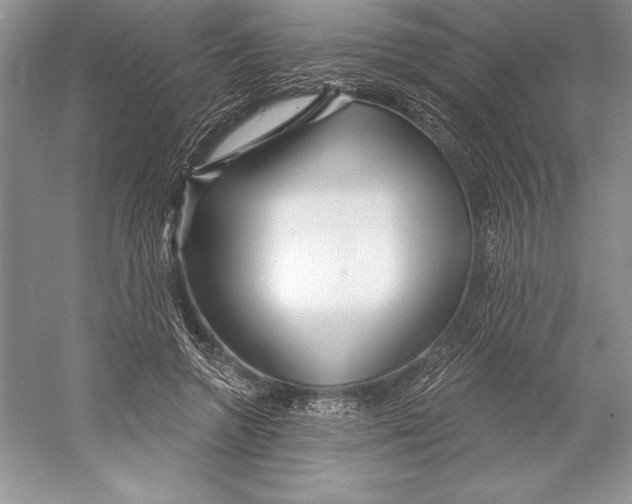 X0000052960546200508050951