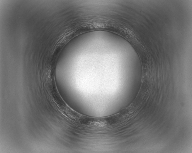 X0000052960548200508050951