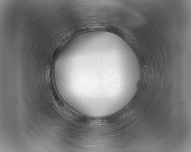 X0000052960550200508050951