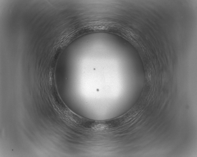 X0000052960551200508050951