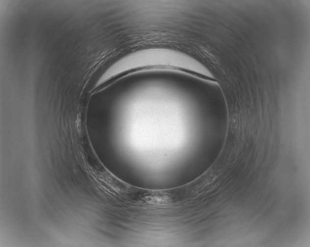X0000052960552200508050951