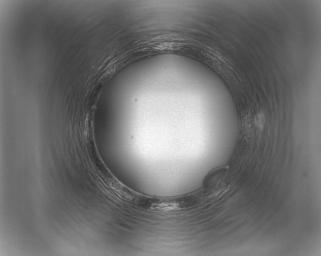 X0000052960554200508050951