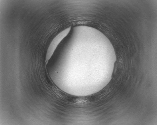 X0000052960555200508050951