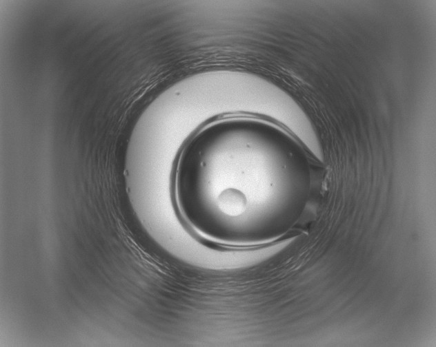 X0000052960556200508050951
