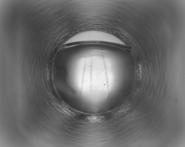 X0000052960558200508050951
