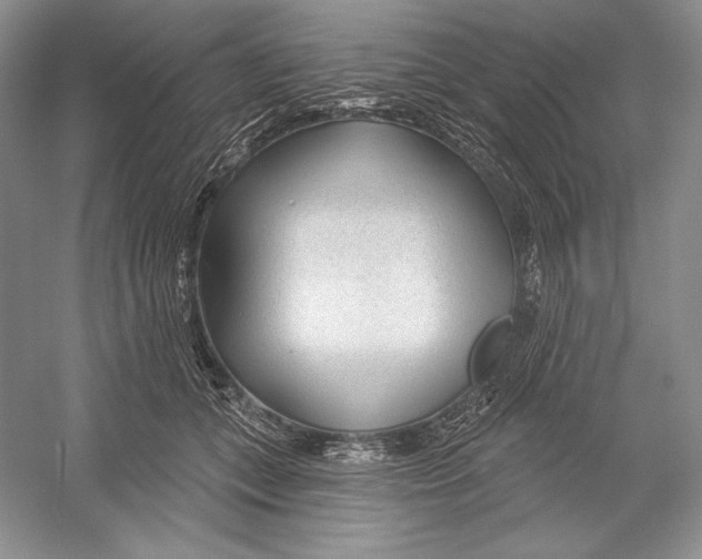 X0000052960559200508050951