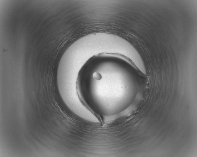 X0000052960560200508050951
