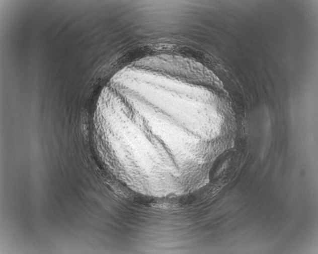 X0000052960561200508050951