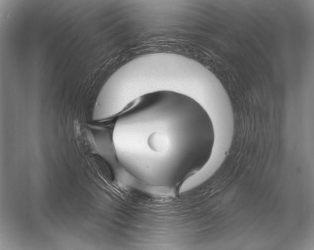 X0000052960562200508050951