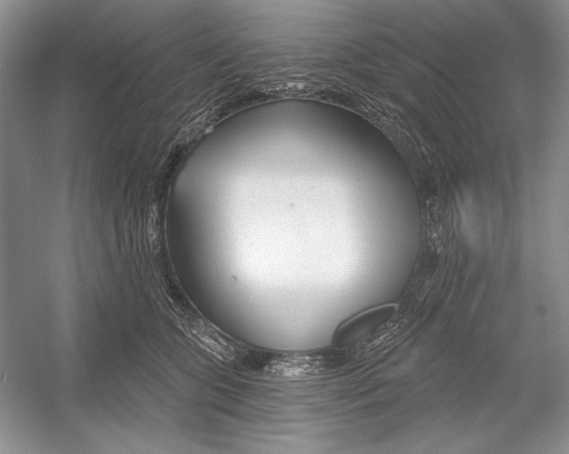 X0000052960563200508050951