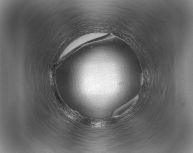 X0000052960564200508050951