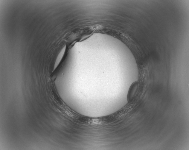 X0000052960565200508050951