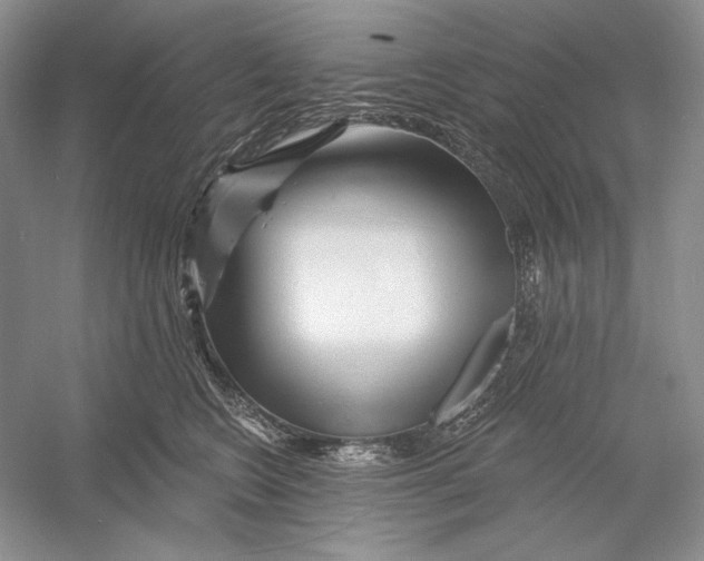 X0000052960566200508050951