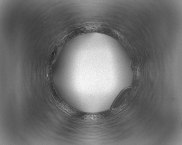 X0000052960567200508050951