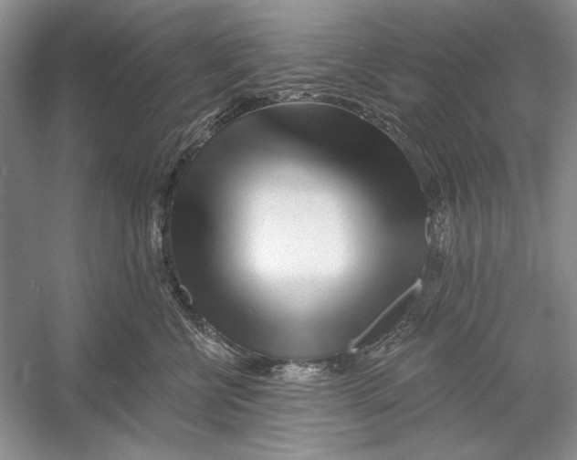 X0000052960570200508050951
