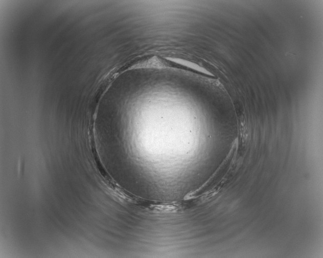 X0000052960572200508050951