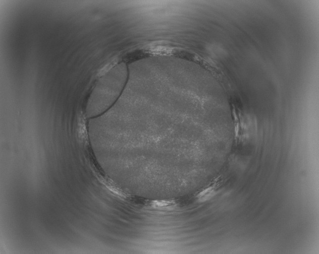 X0000052960573200508050951