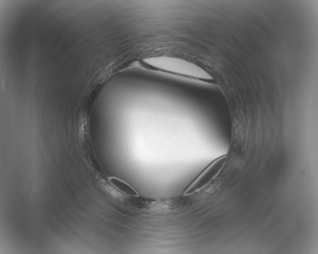X0000052960574200508050951