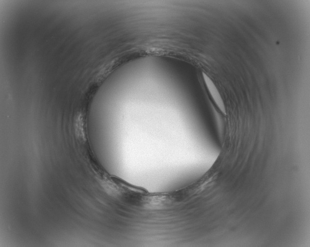 X0000052960575200508050951