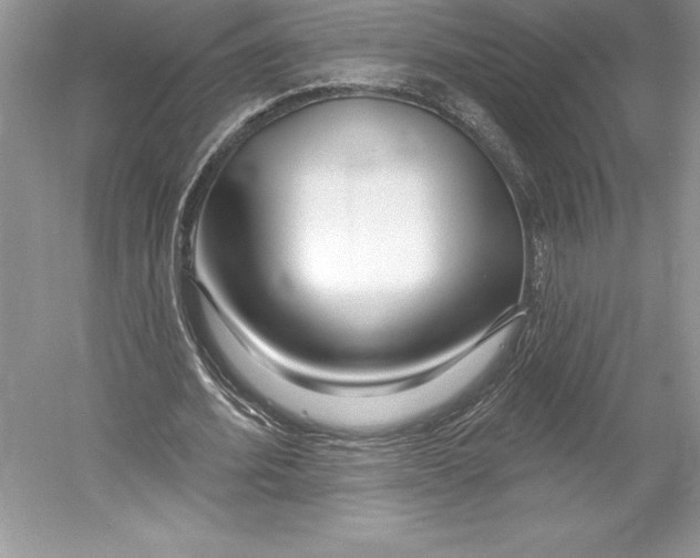 X0000052960580200508050950