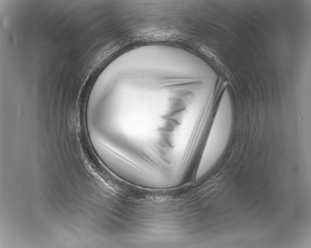 X0000052960582200508050950